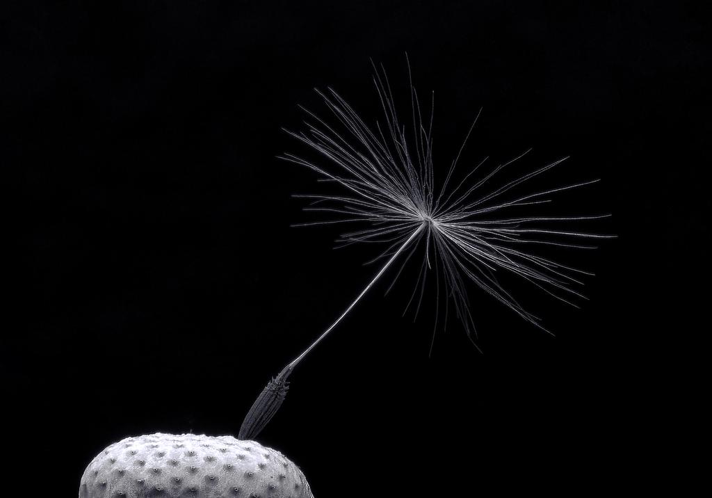 Course: Mastering Work-Life Balance concept imagery