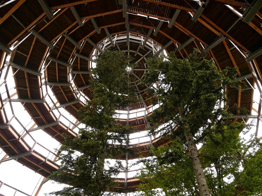 Brain with neural networks representing evidence-based learning