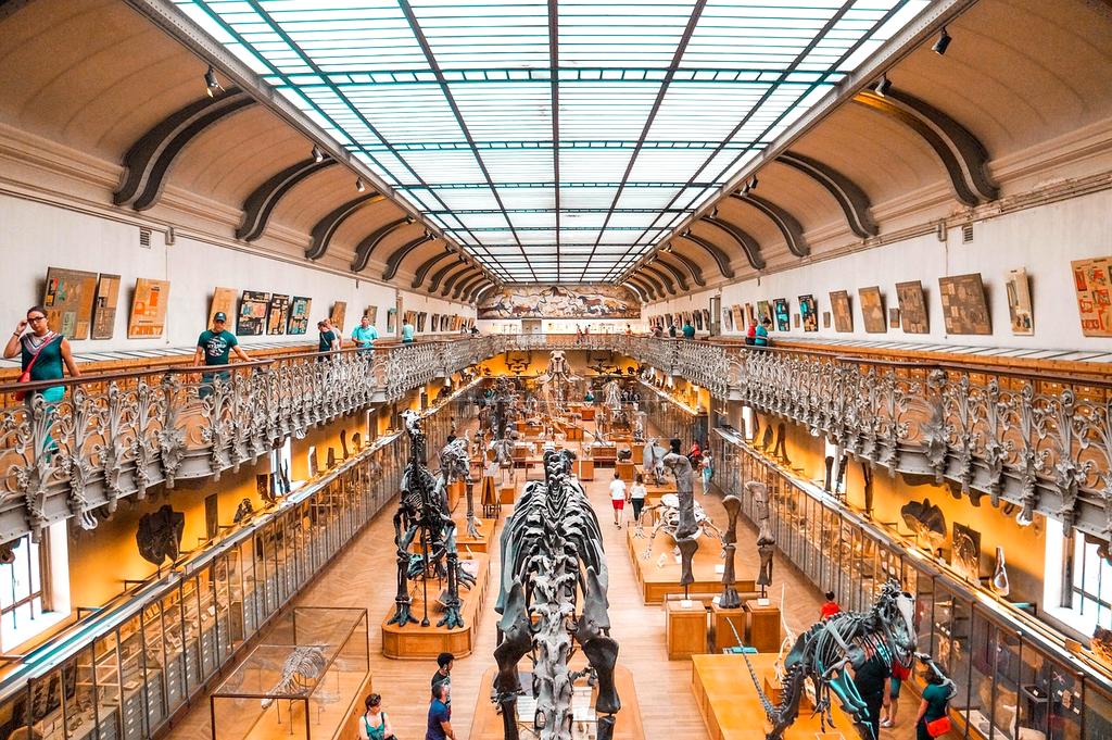 Interactive video player displaying a coaching session