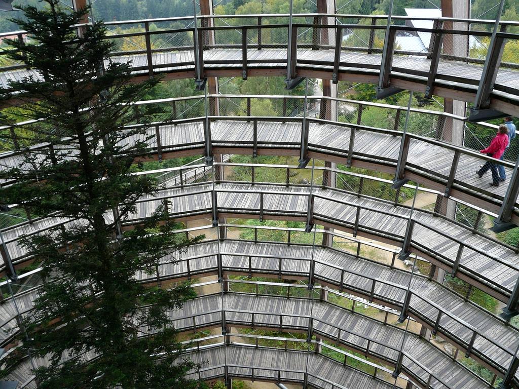 Linda Schmidt, Lead Life Coach